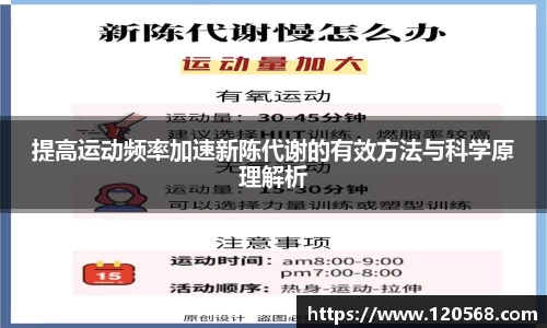 凤凰联盟官方网站