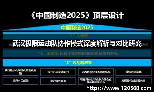 武汉极限运动队协作模式深度解析与对比研究